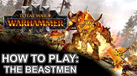 how to play beastmen warhammer 3